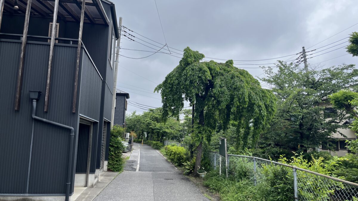 鳩ヶ谷 Mimosa House Sweets
