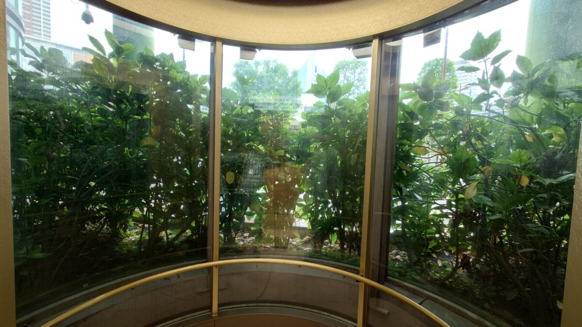 ららテラス川口