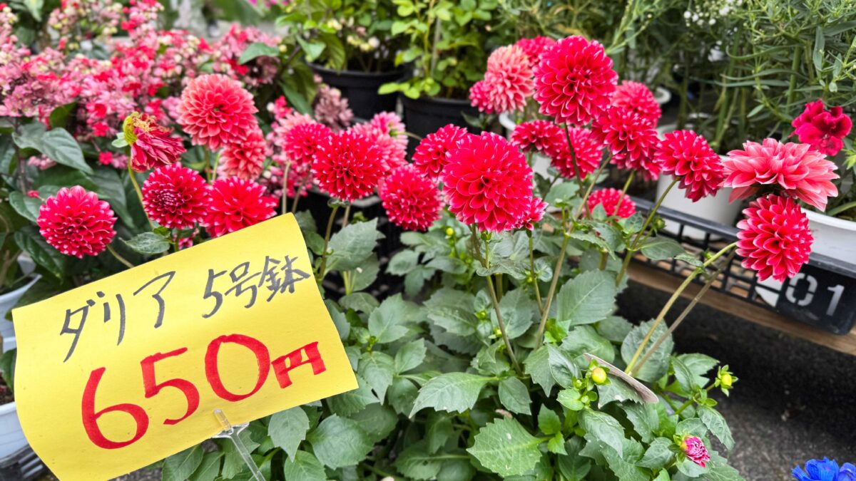 第28回春の園芸フェスタ