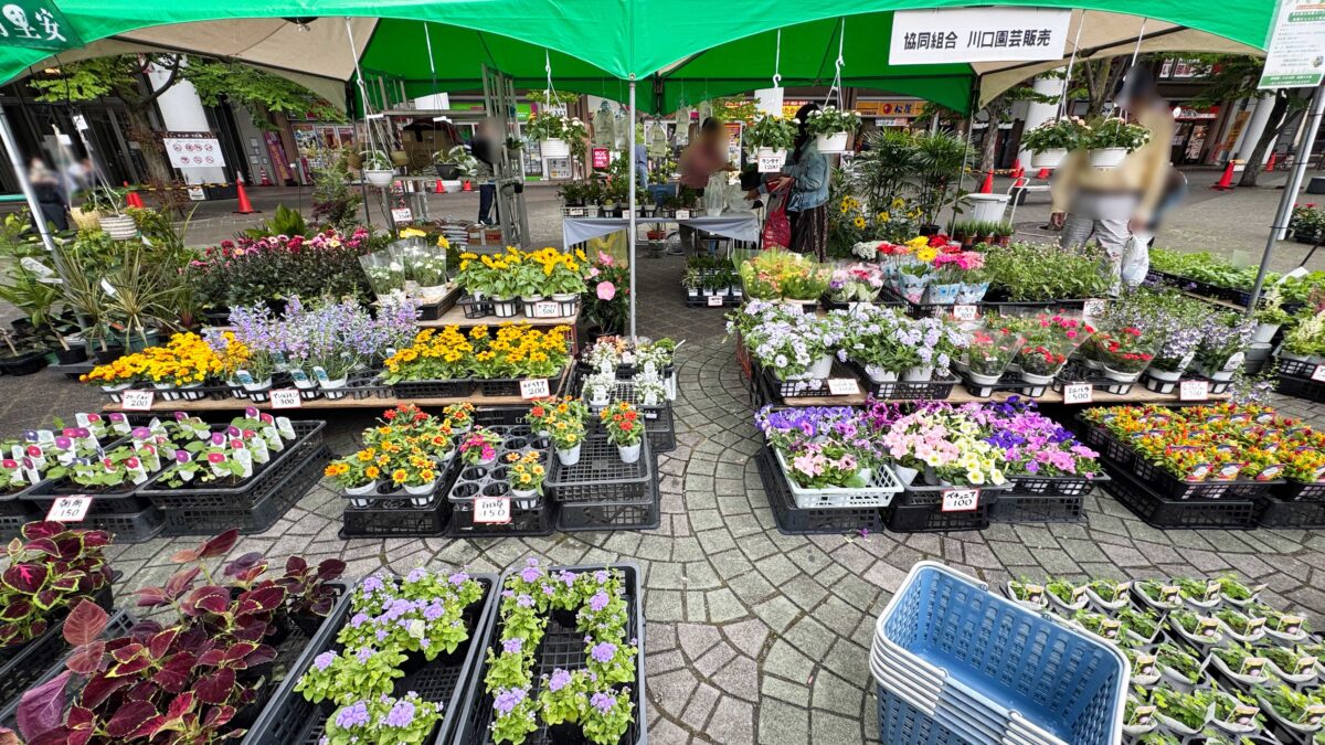 第28回春の園芸フェスタ