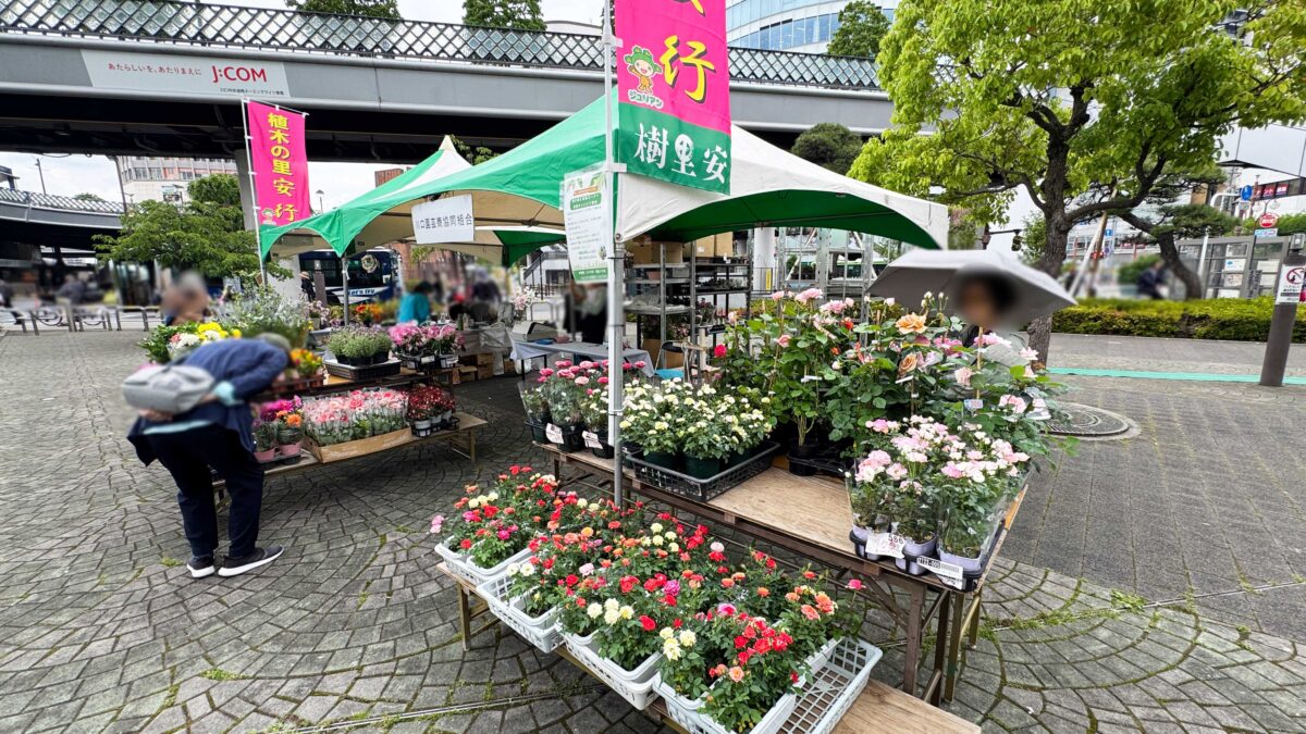 第28回春の園芸フェスタ