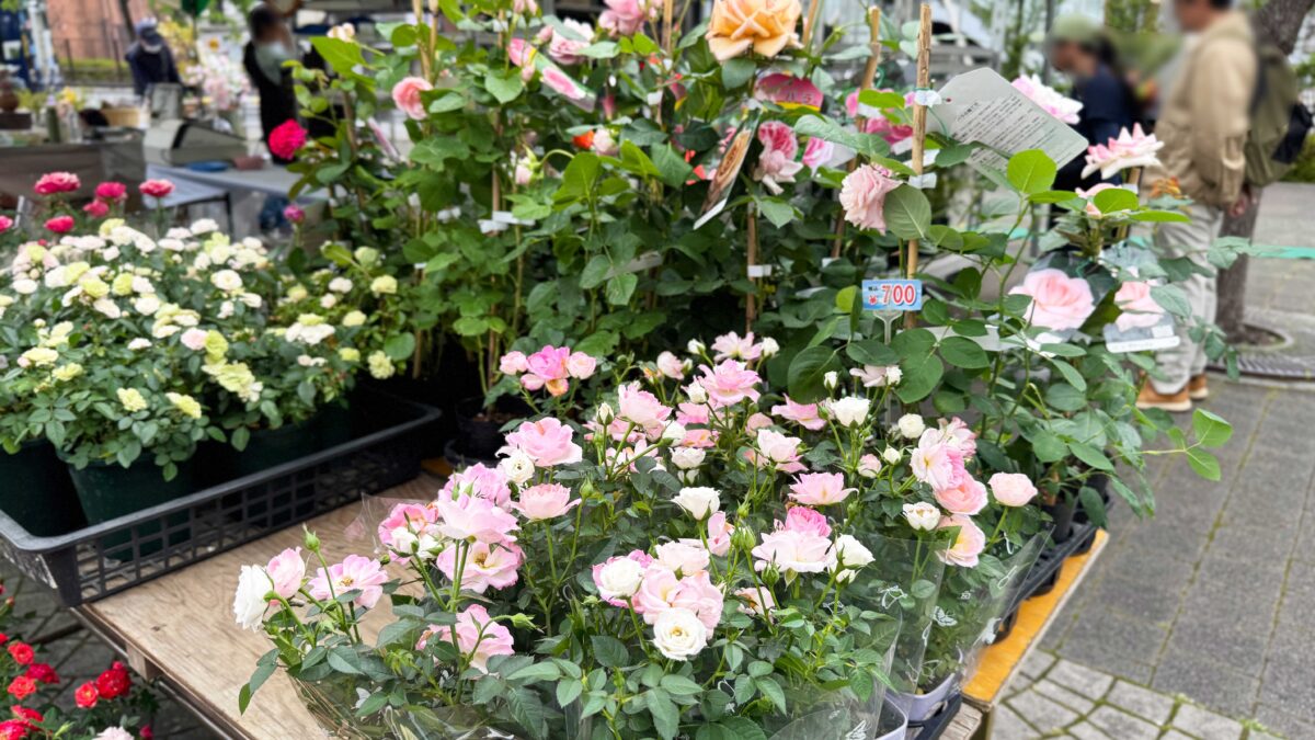 第28回春の園芸フェスタ