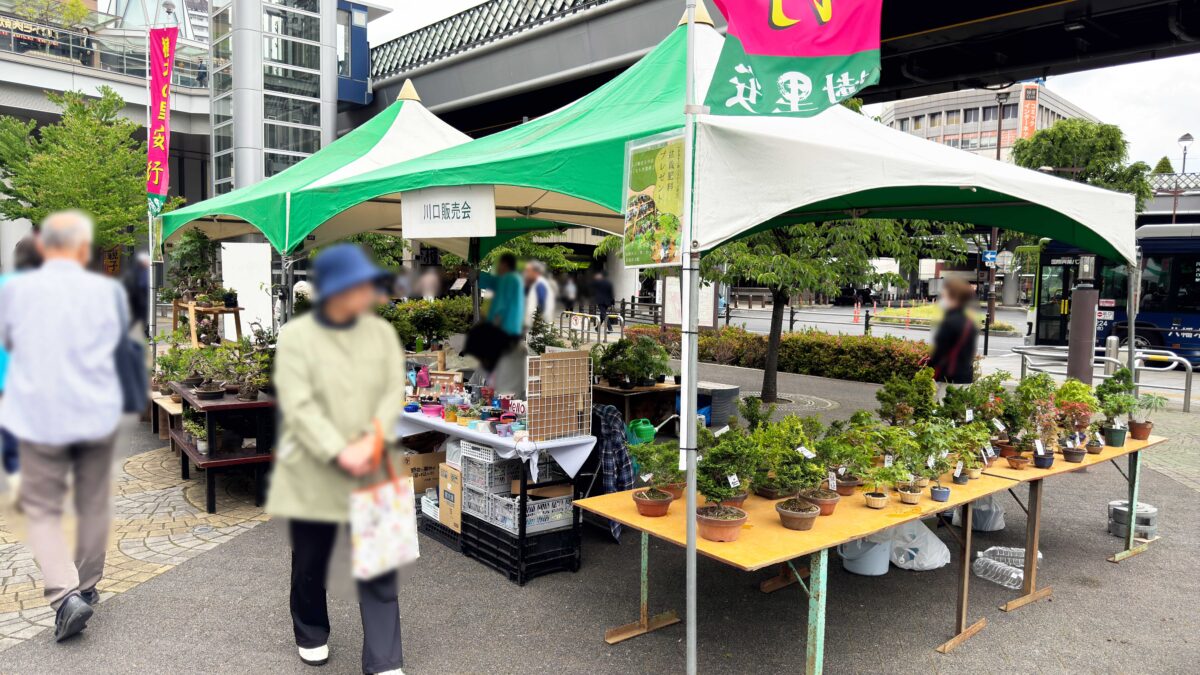 第28回春の園芸フェスタ