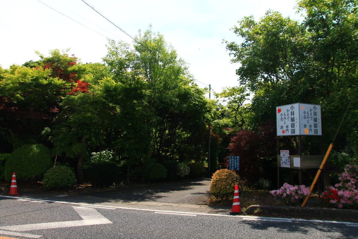小林もみじ園