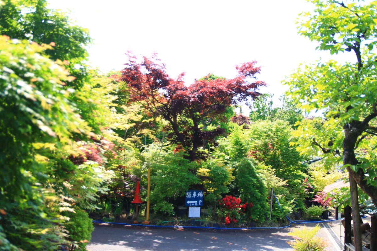 小林もみじ園