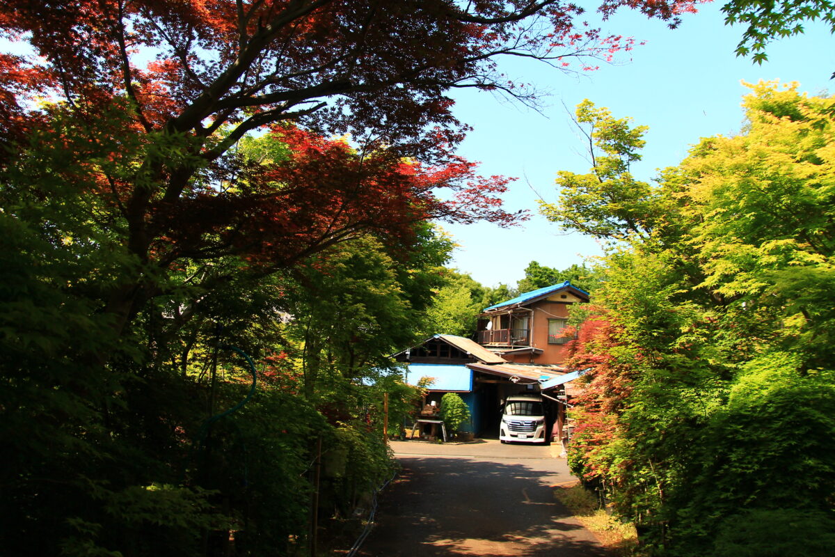 小林もみじ園