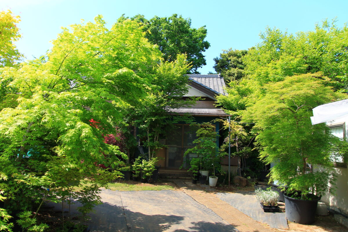 小林もみじ園
