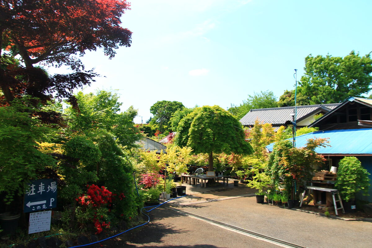 小林もみじ園