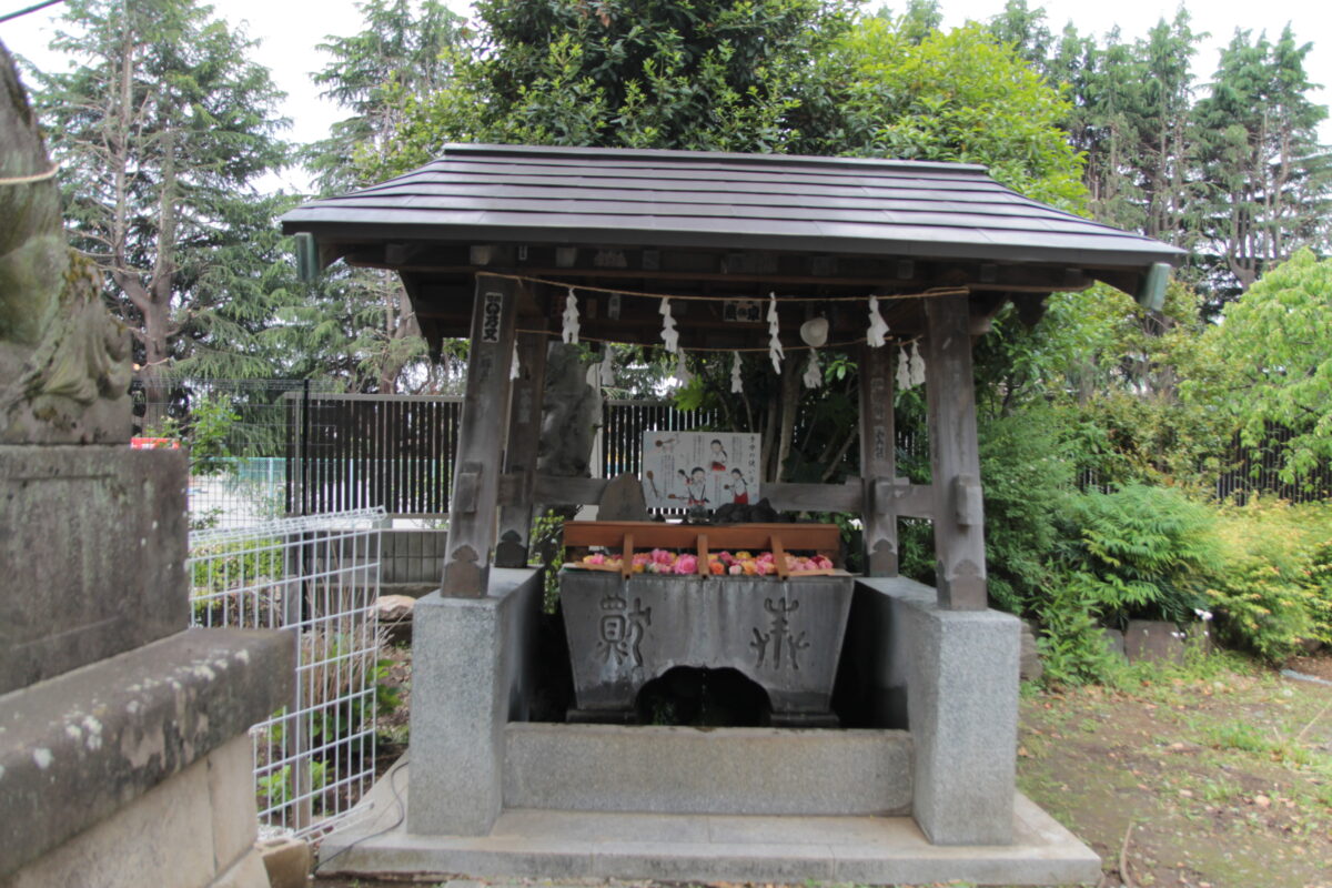 鳩ヶ谷氷川神社 花手水