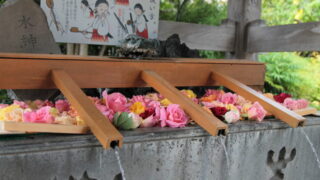 鳩ヶ谷氷川神社 花手水