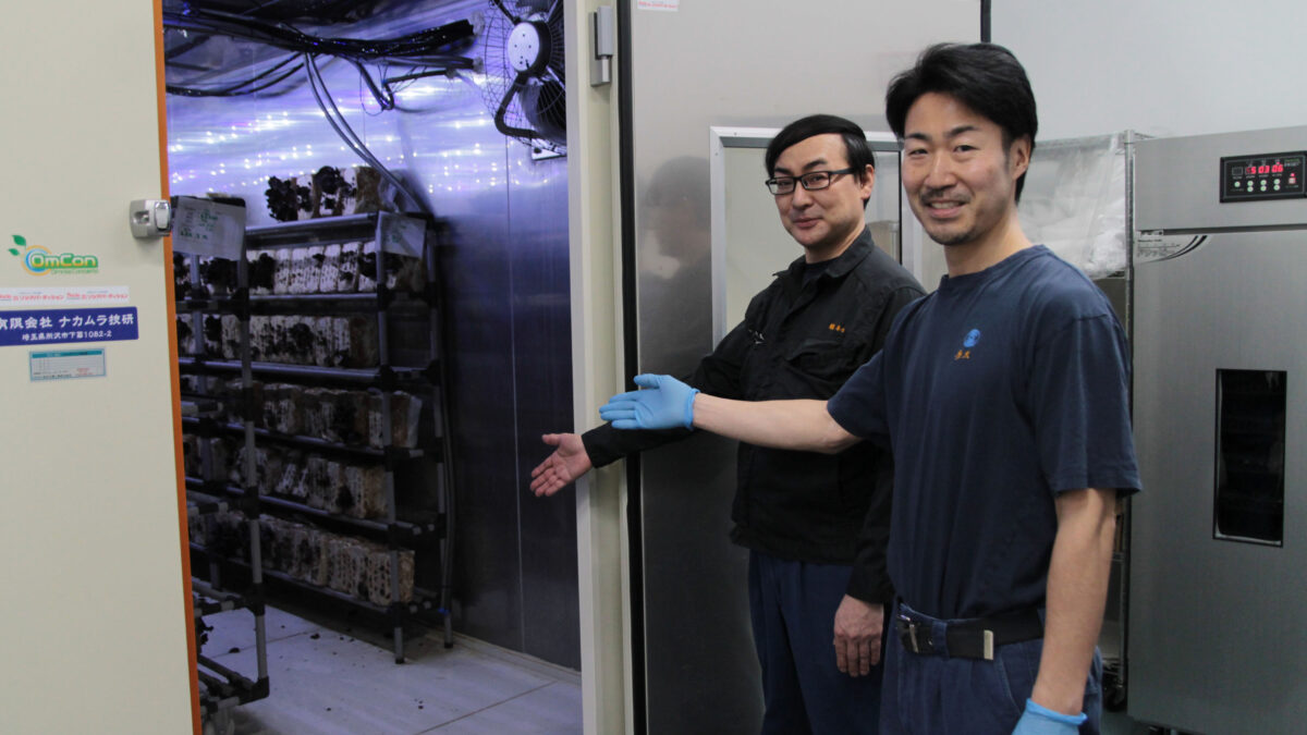 毎日新聞首都圏センター 川口工場 きくらげ