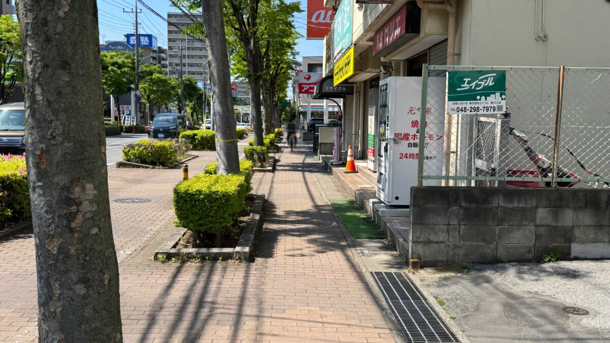 ザックワイルド