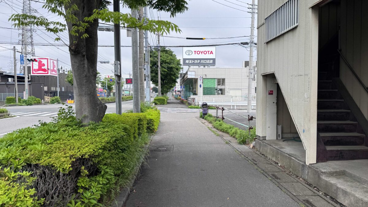 レプティーパグ