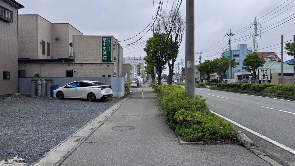 レプティーパグ