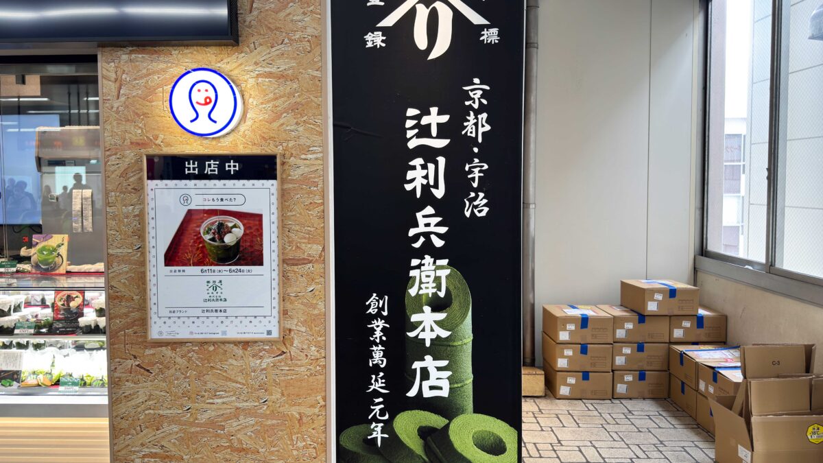 コレもう食べた蕨