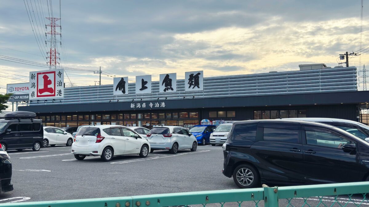 角上魚類川口店