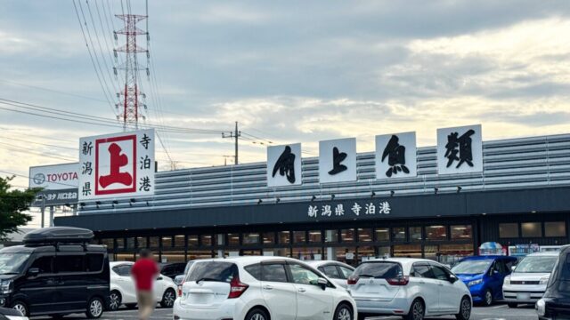 角上魚類川口店
