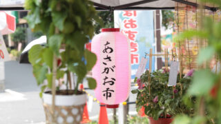 あさがお＆ほおずき市　蕨駅
