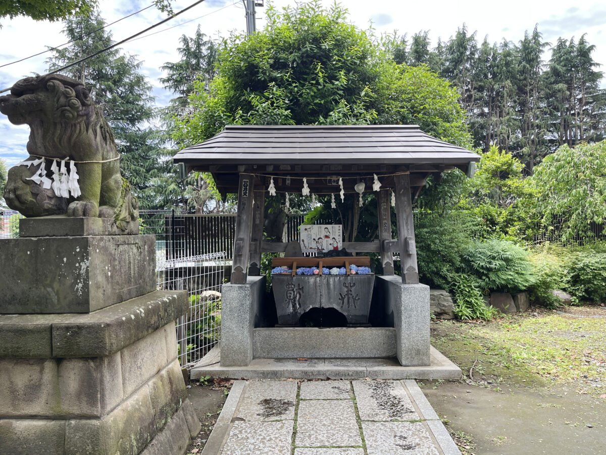 鳩ヶ谷氷川神社　花手水　川口