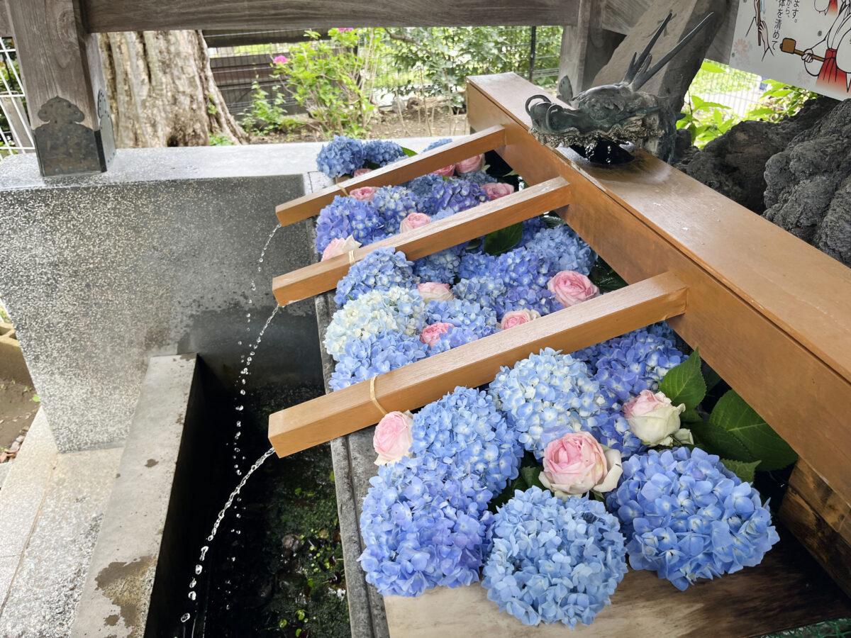 鳩ヶ谷氷川神社　花手水　川口