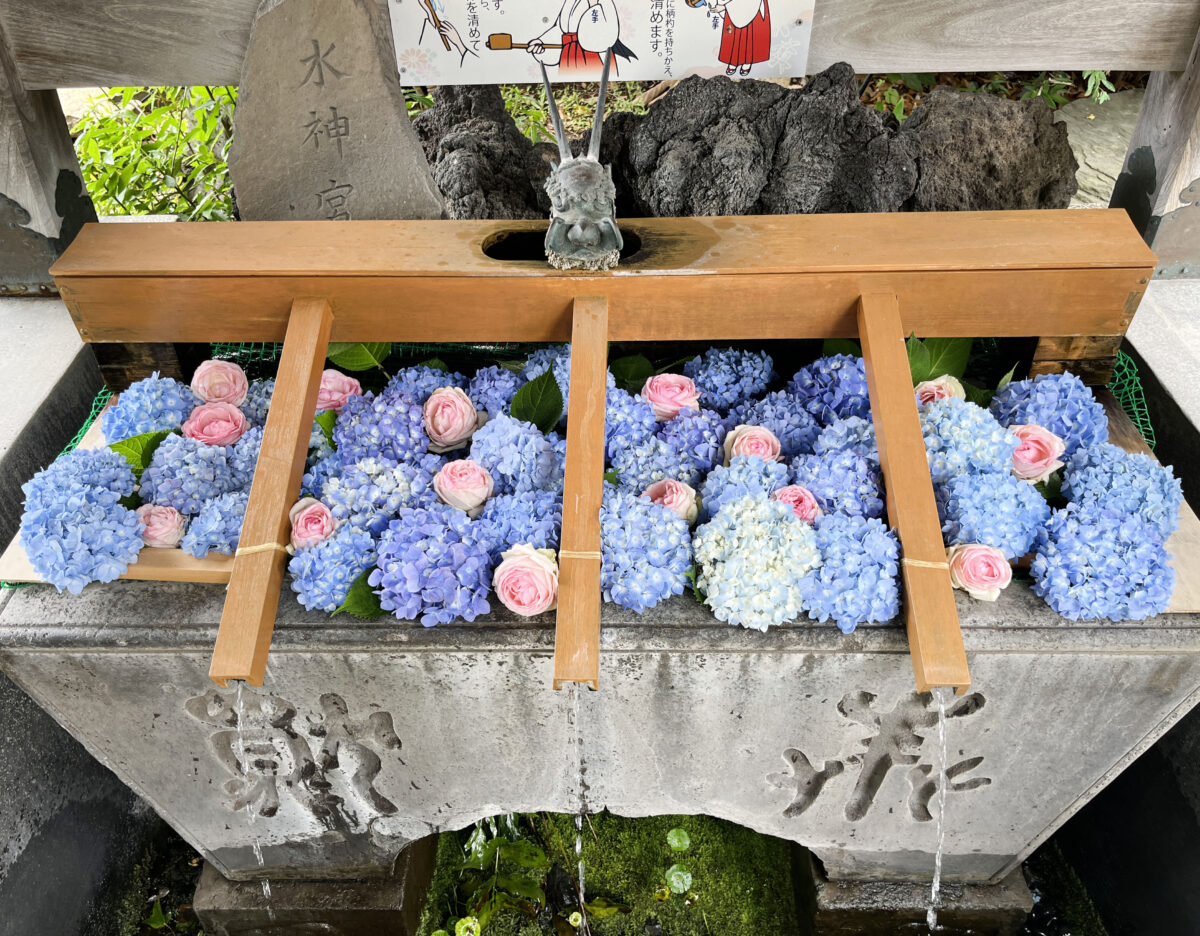 鳩ヶ谷氷川神社　花手水　川口