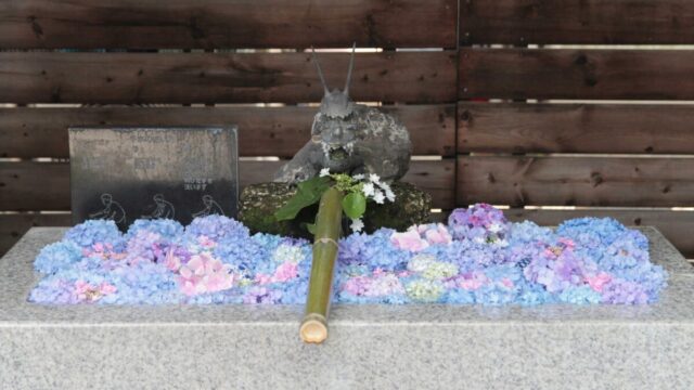 鎮守氷川神社　花手水