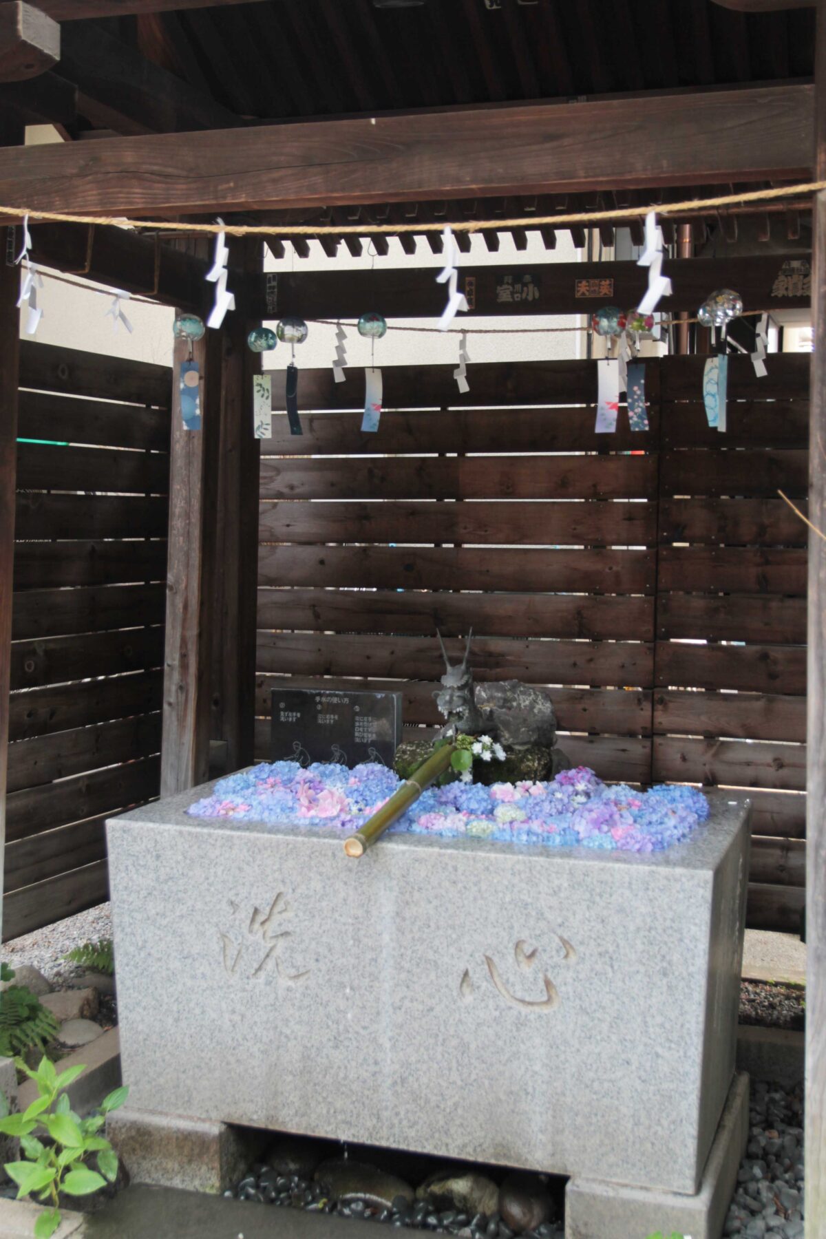 鎮守氷川神社　花手水