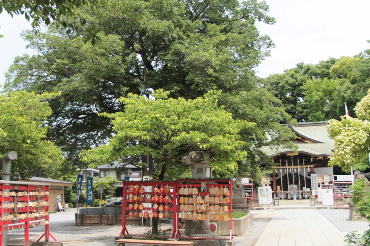 鎮守氷川神社　花手水