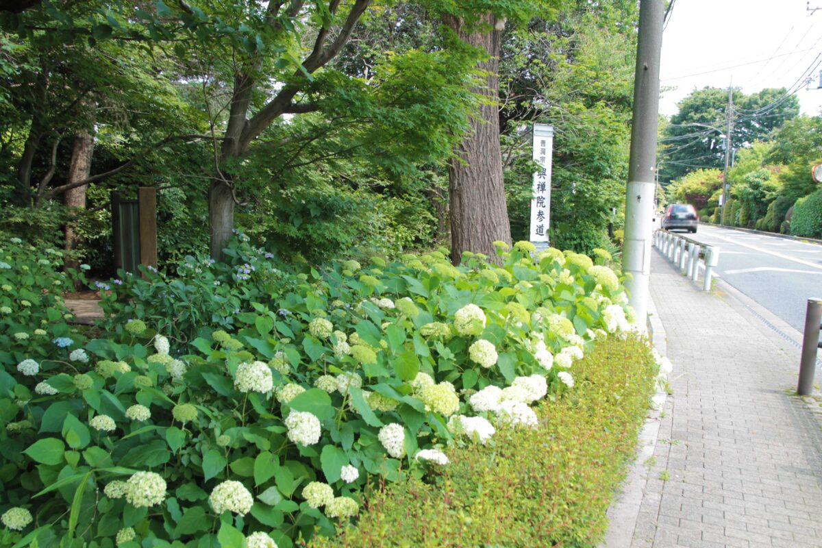 興禅院