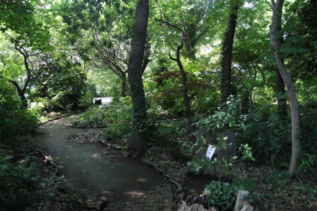 興禅院