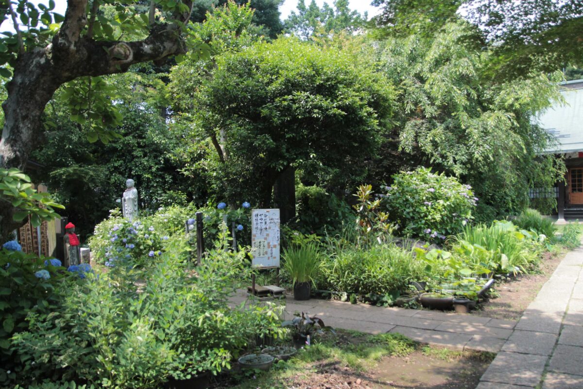 興禅院