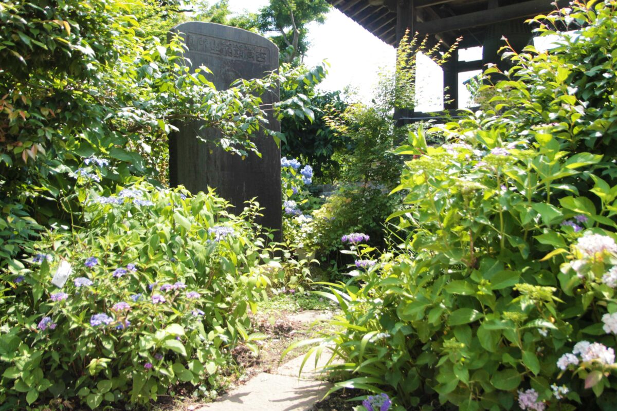 興禅院