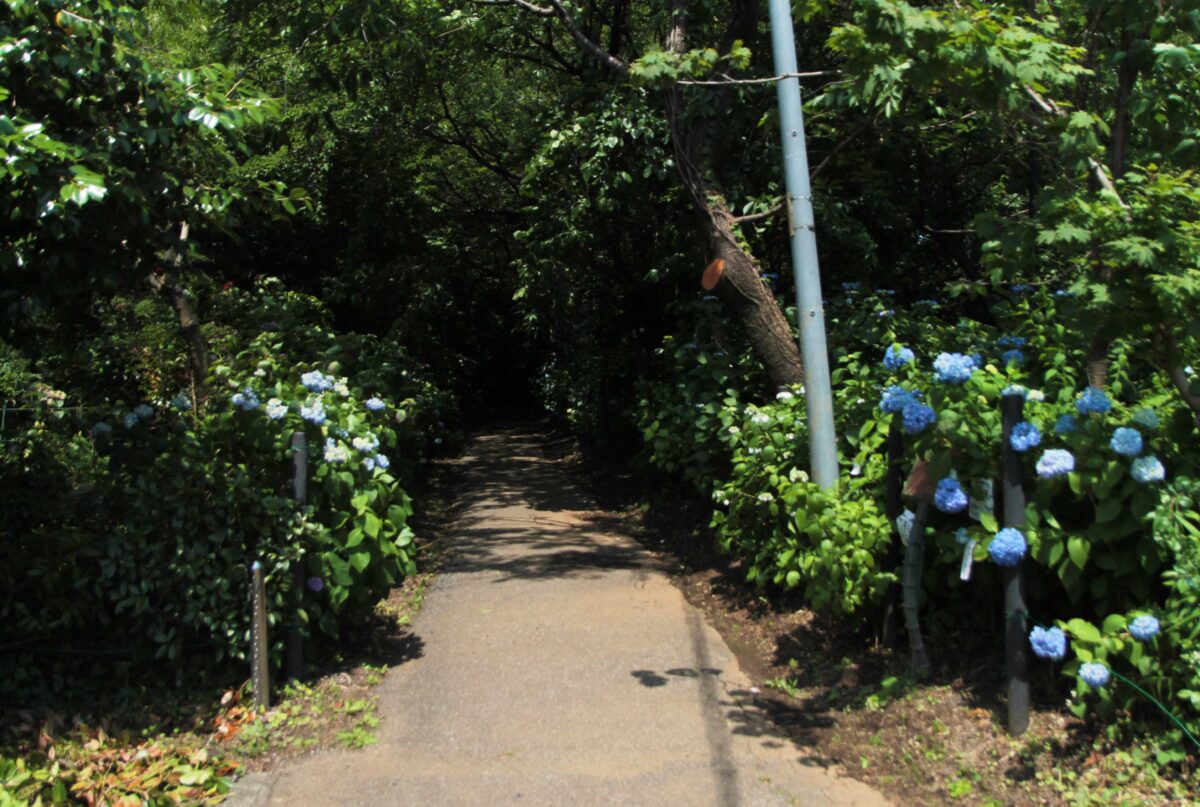 興禅院
