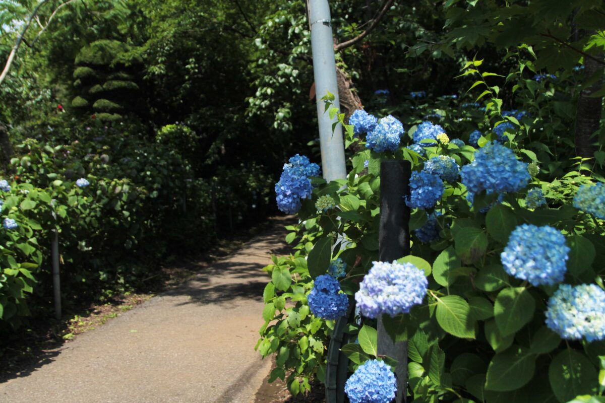 興禅院
