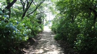 興禅院