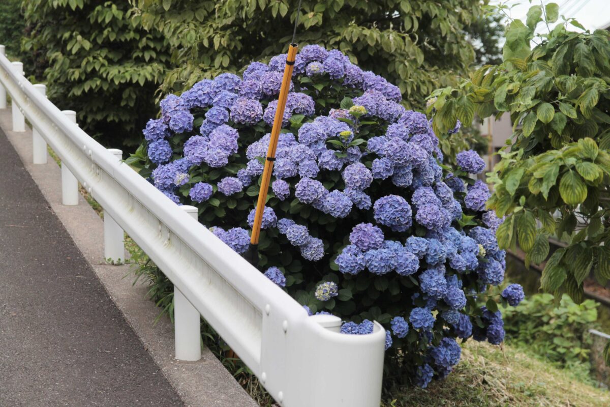 柳崎氷川神社