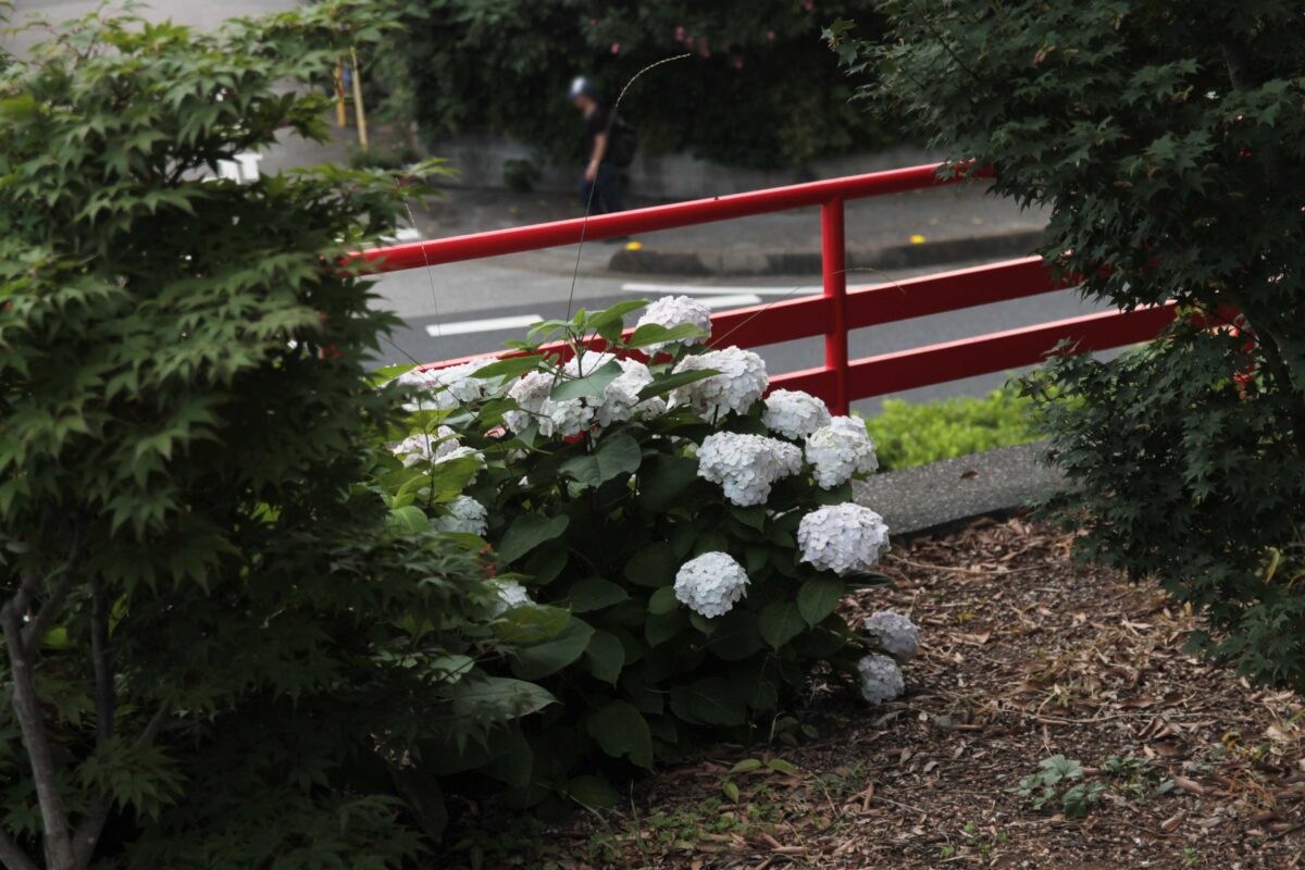 柳崎氷川神社