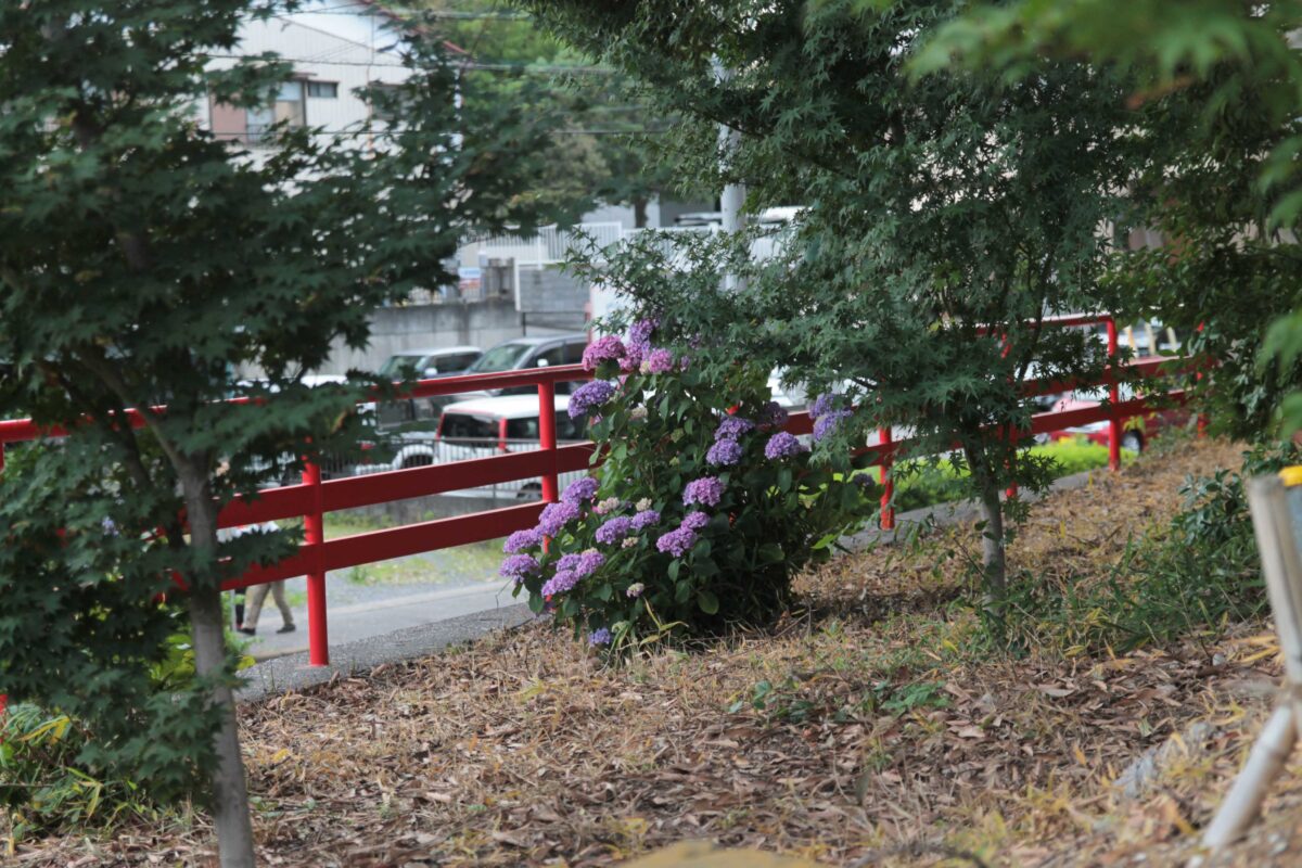 柳崎氷川神社