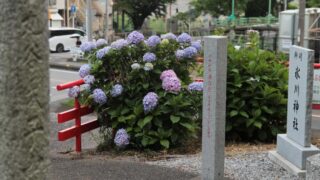 柳崎氷川神社