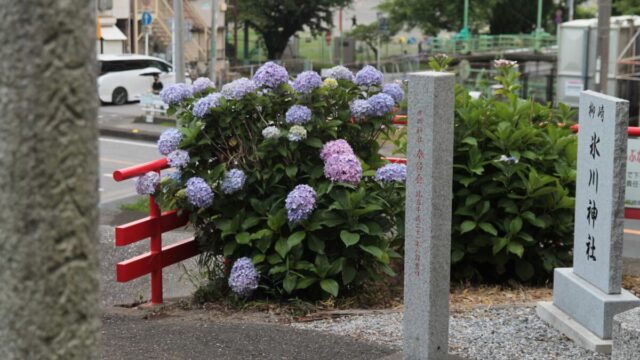 柳崎氷川神社