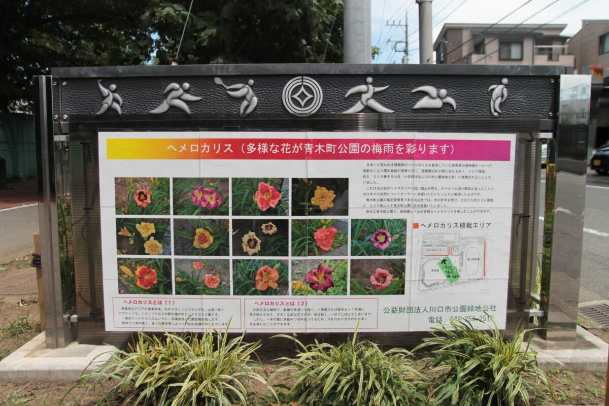 川口市青木町公園0623