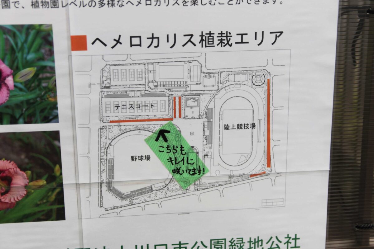 川口市青木町公園0623