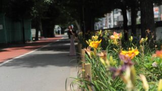 川口市青木町公園0623