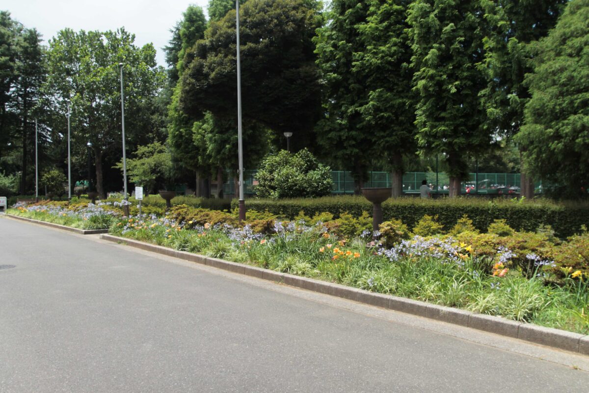 川口市青木町公園0623