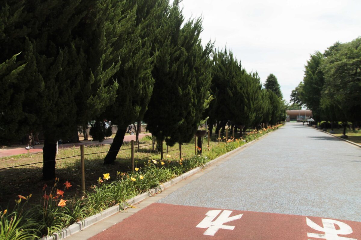 川口市青木町公園0623