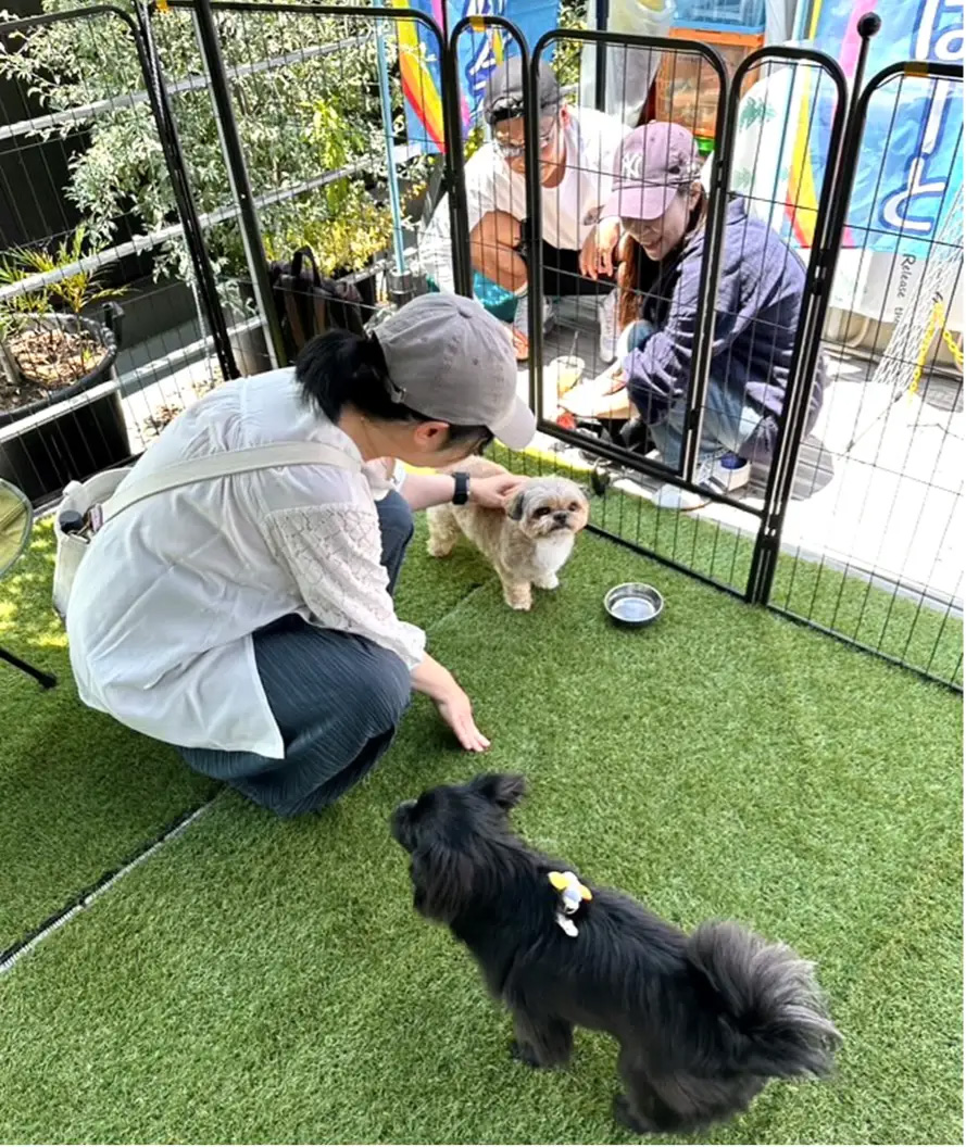 大泉工場  (ARTISAN) FARMERS MARKET KAWAGUCHI