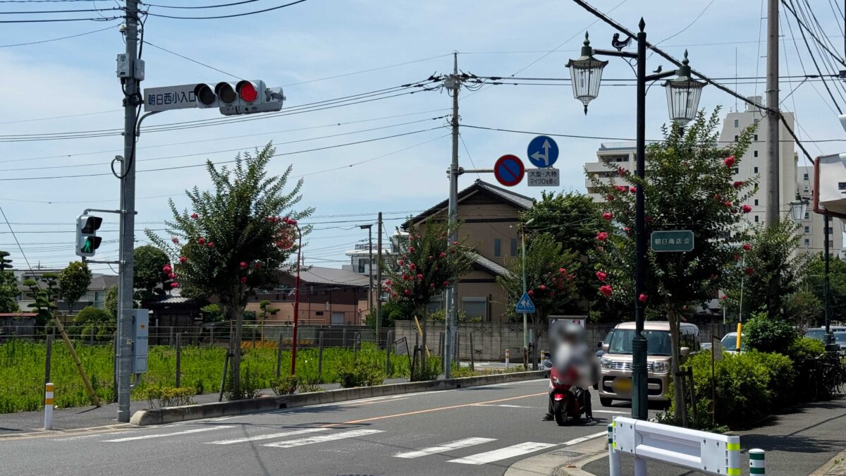 朝日商店会百日紅