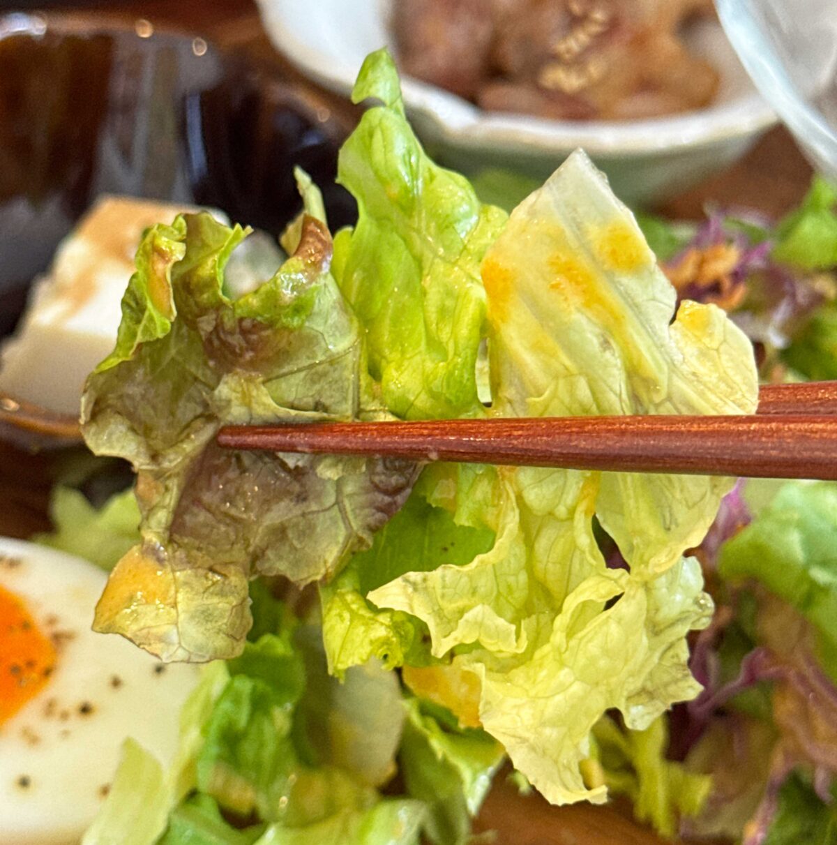 ハルライオン