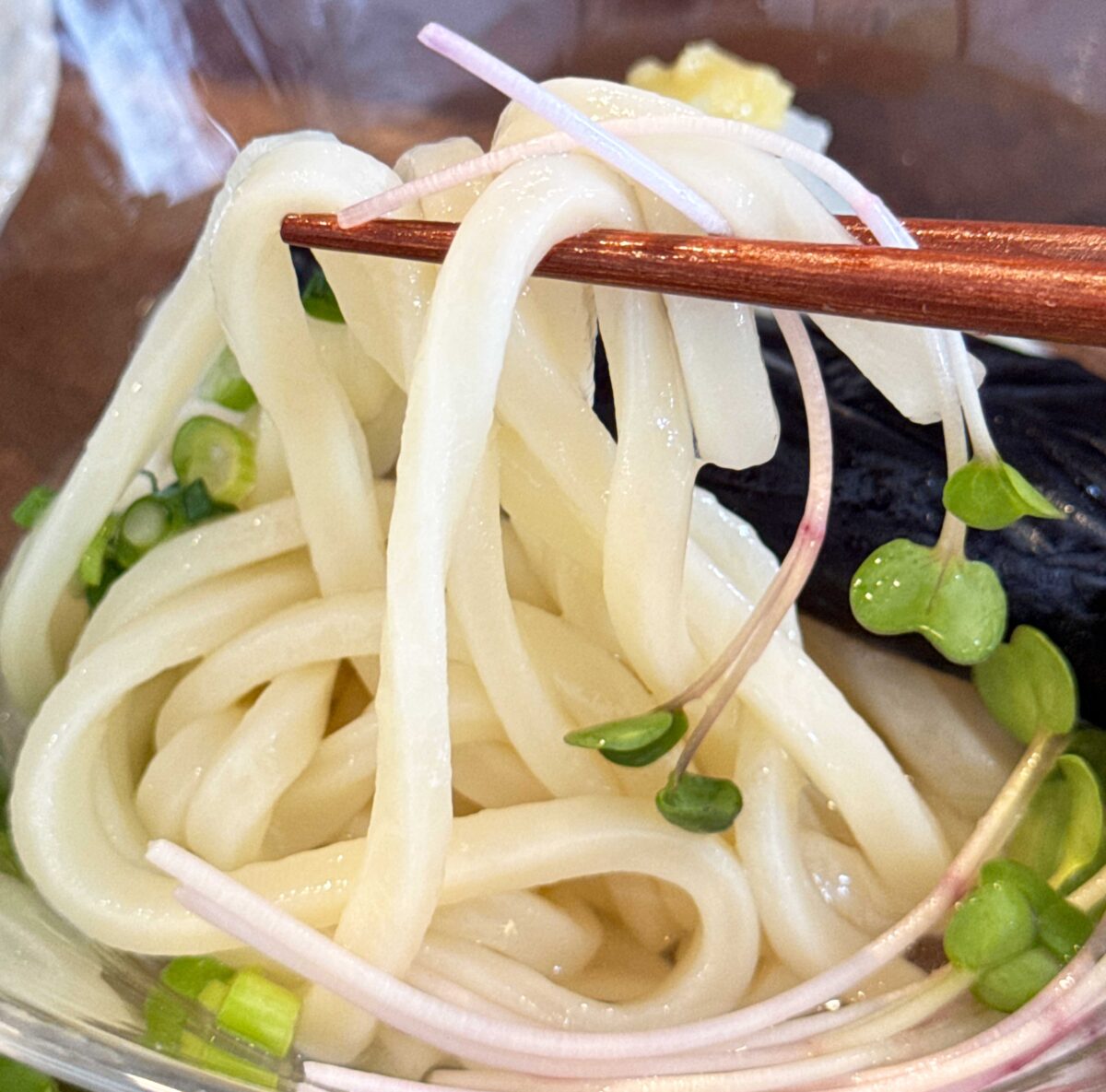 ハルライオン