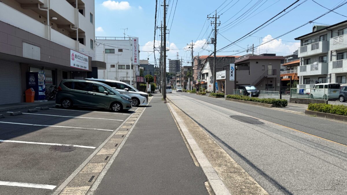 ShiaWaseno358
